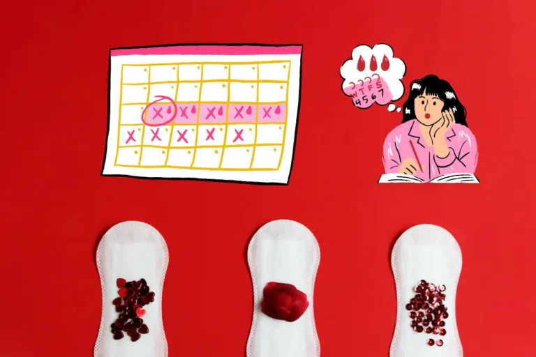 Menstrual Cycle Facts